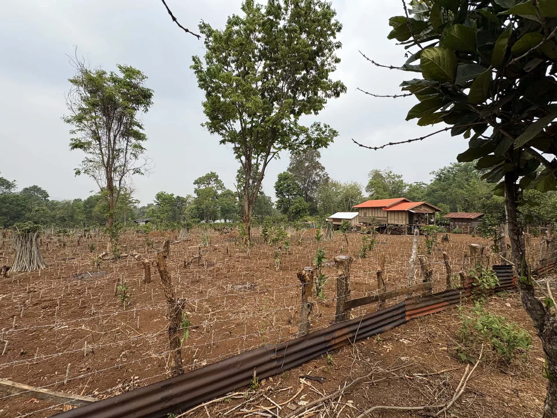 Ban Kok Phung Tai and Captain Hook’s tour